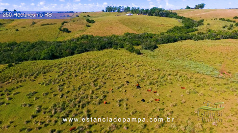 Gilberto Monteiro - Pra ti guria [VDownloader].00_01_48_01.Quadro023_4c412c76acc61d5863ee9dd5571b378e5e31f76a.jpg